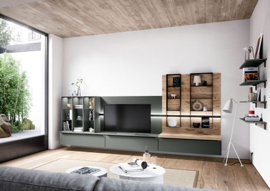 Modernes Wohnzimmer mit Fernseher, Bücherregal und Pflanzen, helle Farben und Holzdetails.